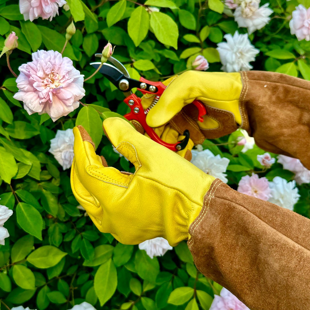 Gloves