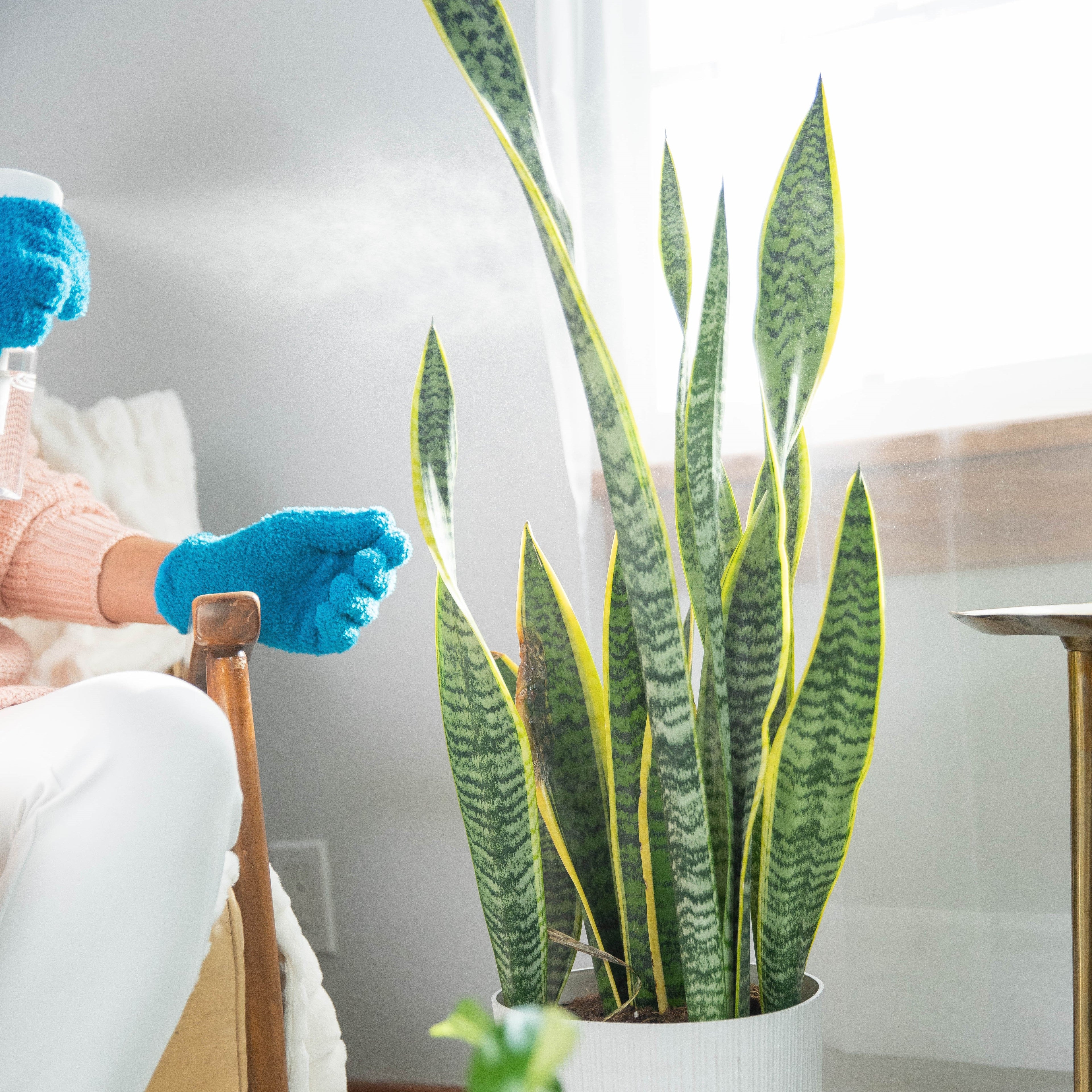 (2) Instant Plant Protection 4-Tablet Pouch Bundle