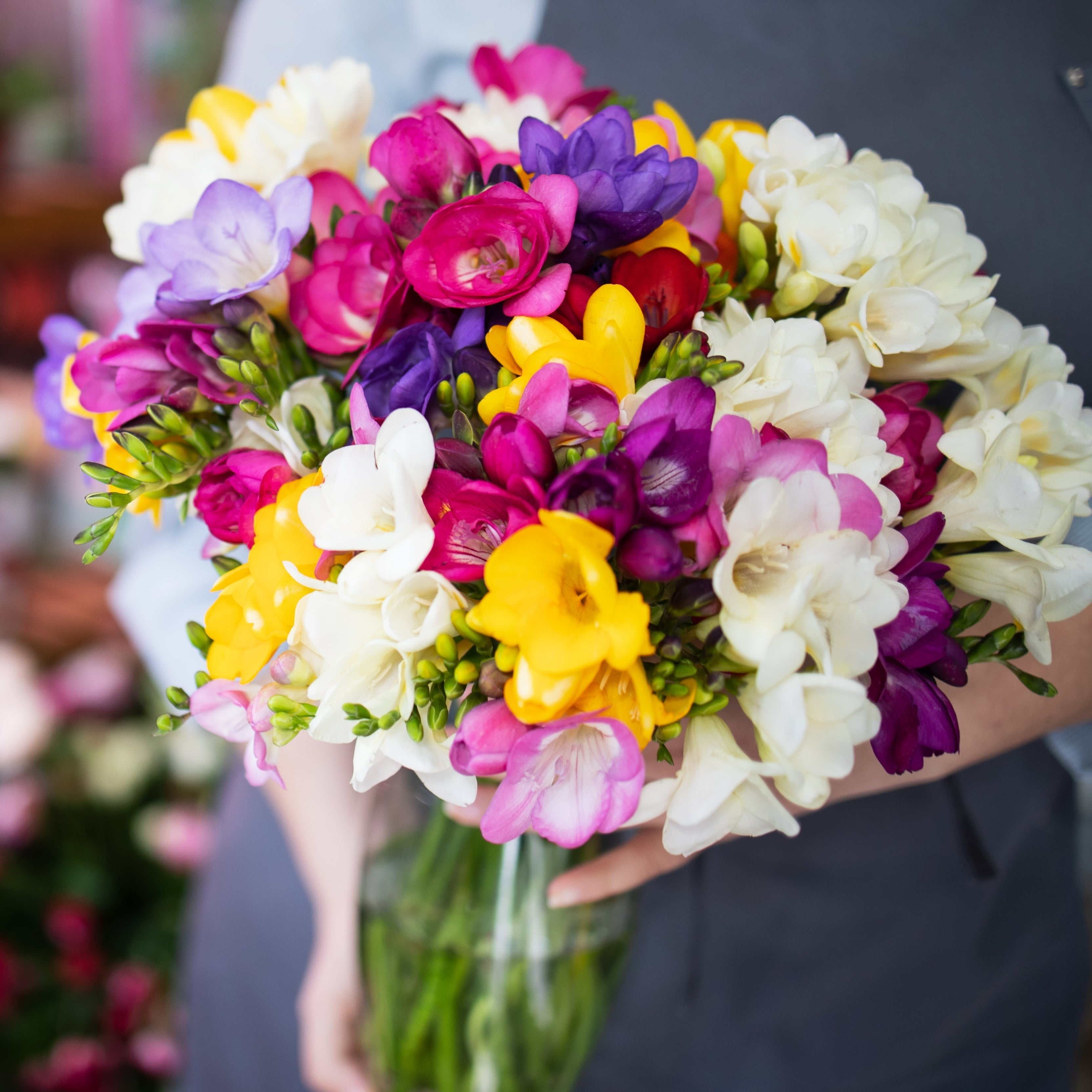 Freesia - Bountiful Bouquets Collection
