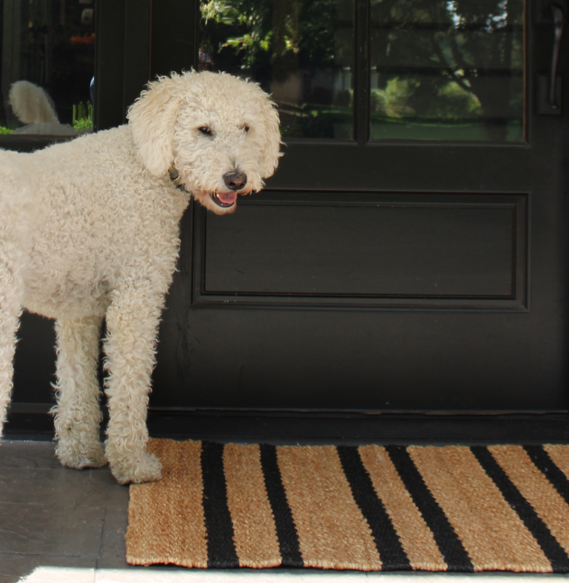 Natural and Black Striped Jute Rug