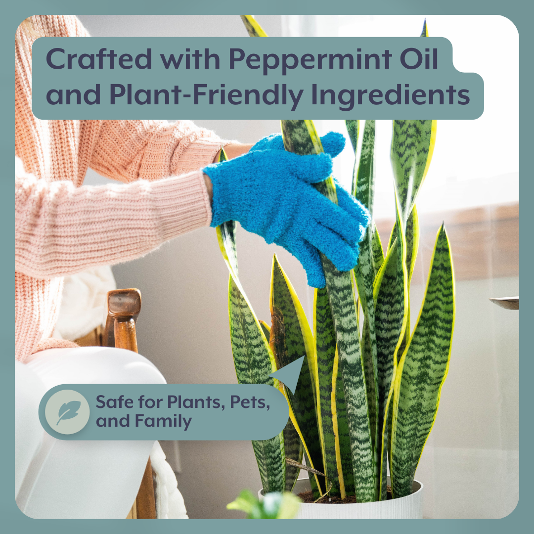 The Complete Plant Care Bundle (Plant Food + ProBiotics + Natural Pest Control) for HOUSEPLANTS