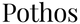 Pothos logo