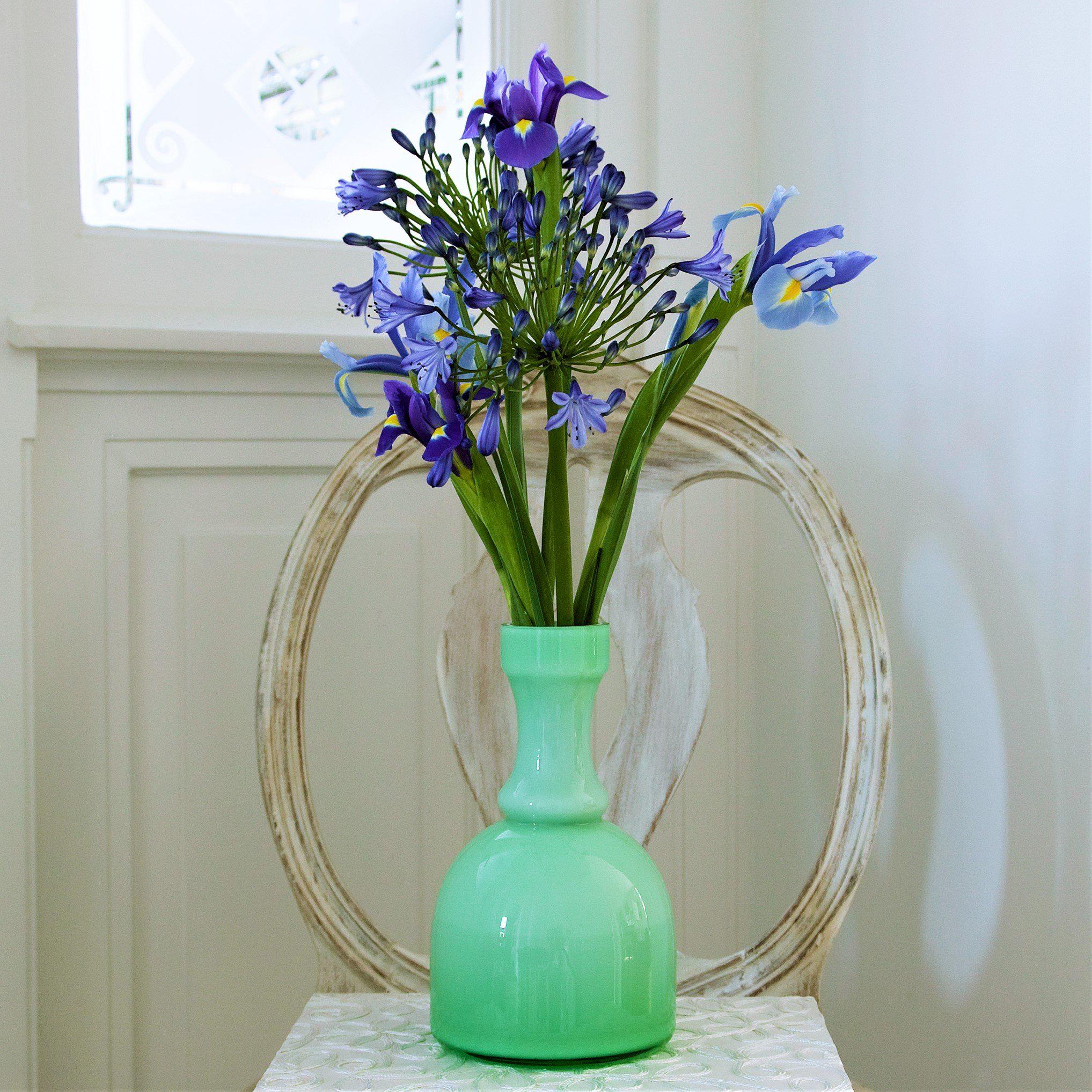 Dutch Iris - Blue Diamond