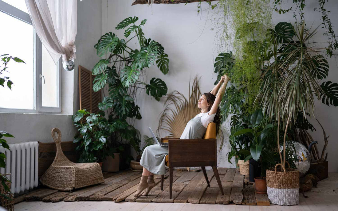 The Ultimate Guide to the Best Indoor Plants for Health