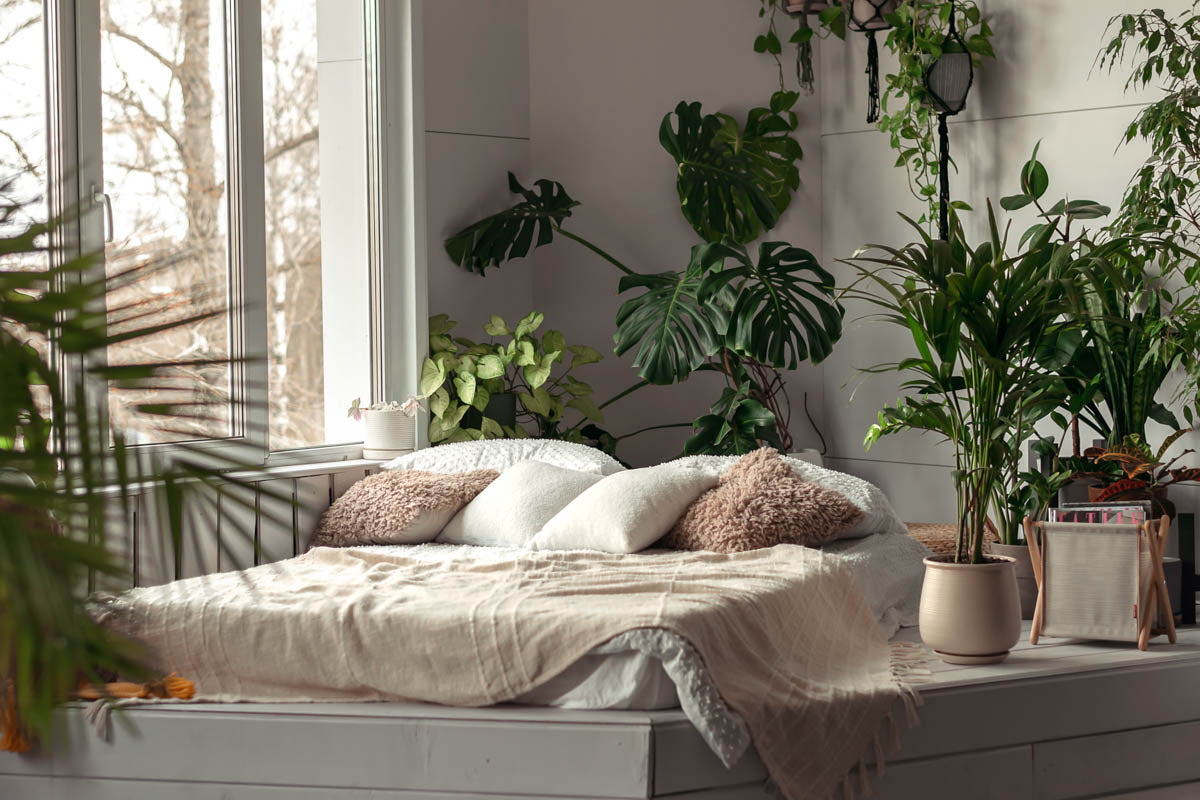 What Feng Shui Says About Plants in Your Bedroom - 2025