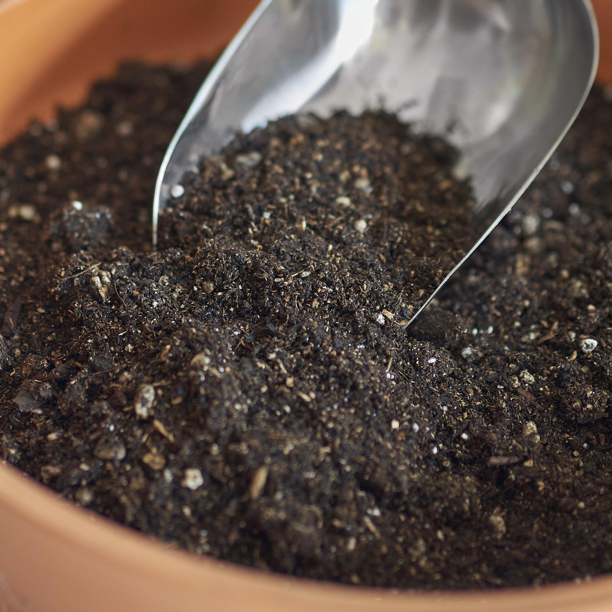 Indoor Potting Mix