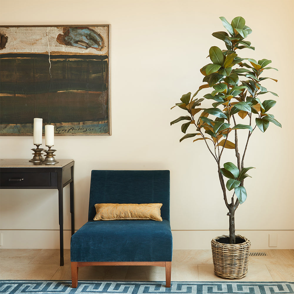 Plant Accessories