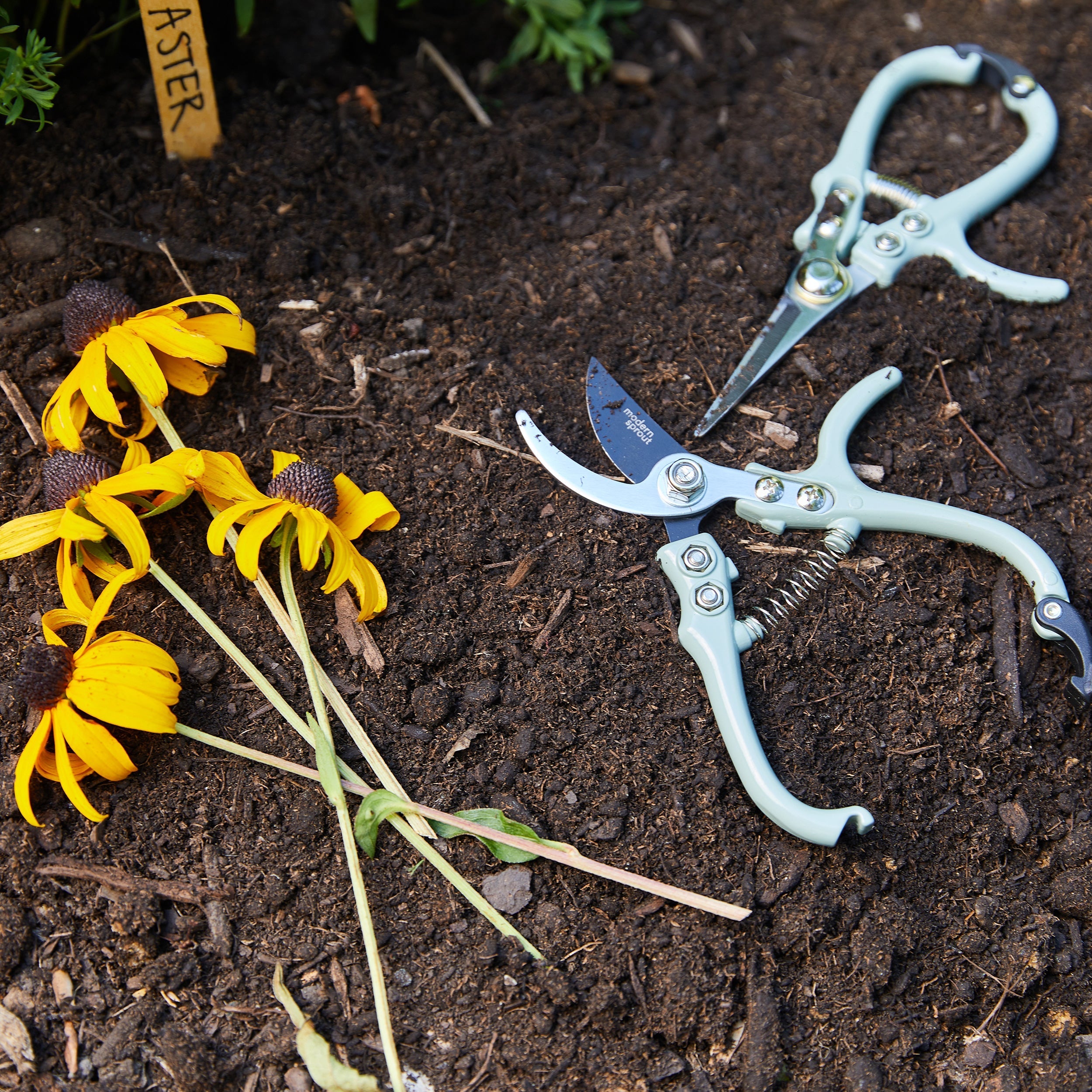 Pruners & Shears