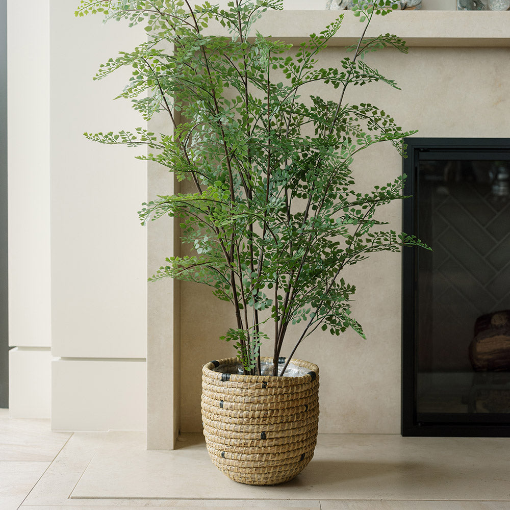 Faux Plants