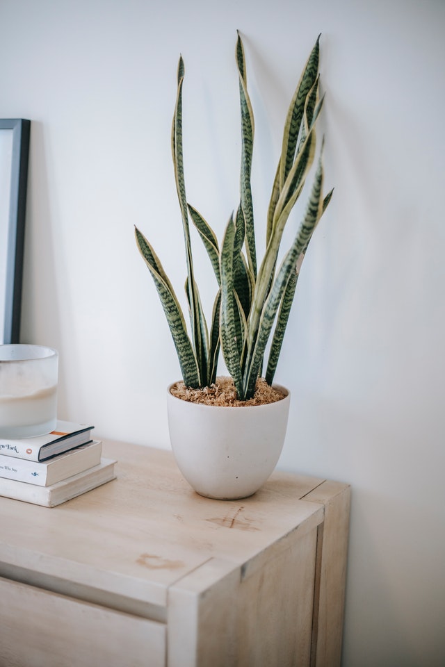 Air Purifiers