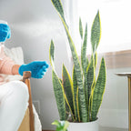 (2) Instant Plant Protection 4-Tablet Pouch Bundle