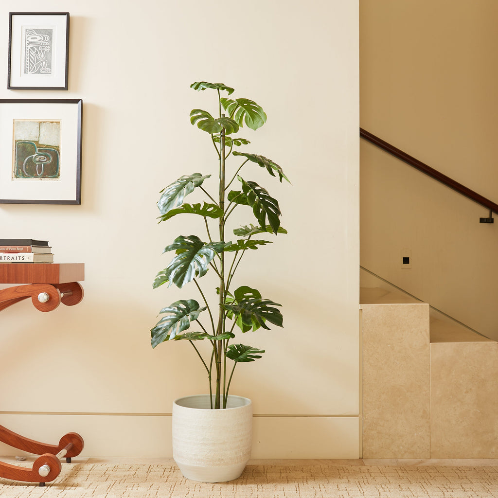 5' Artificial Monstera Tree