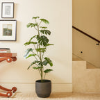 5' Artificial Monstera Tree