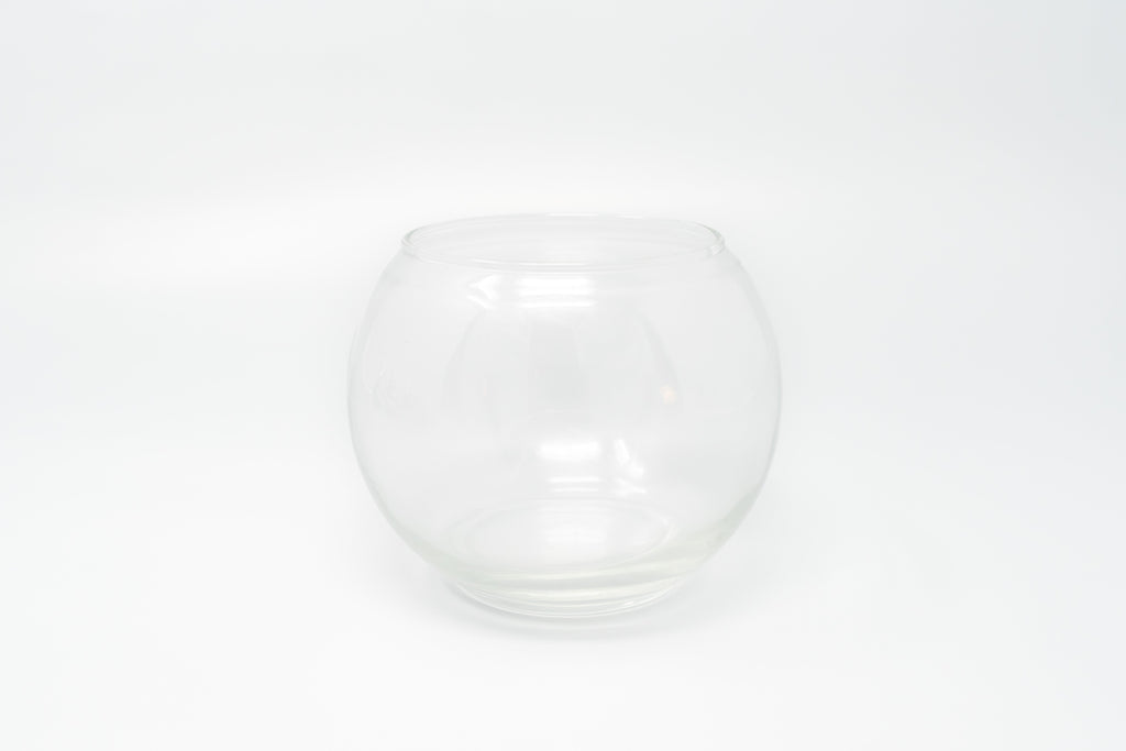 Complete Bubble Trio Terrariums with Tillandsia Juncea, Butzii, and Harrisii Air Plants