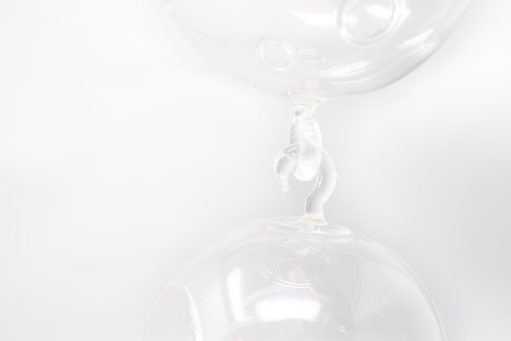 Hanging Globe Terrariums with Double-Hooks