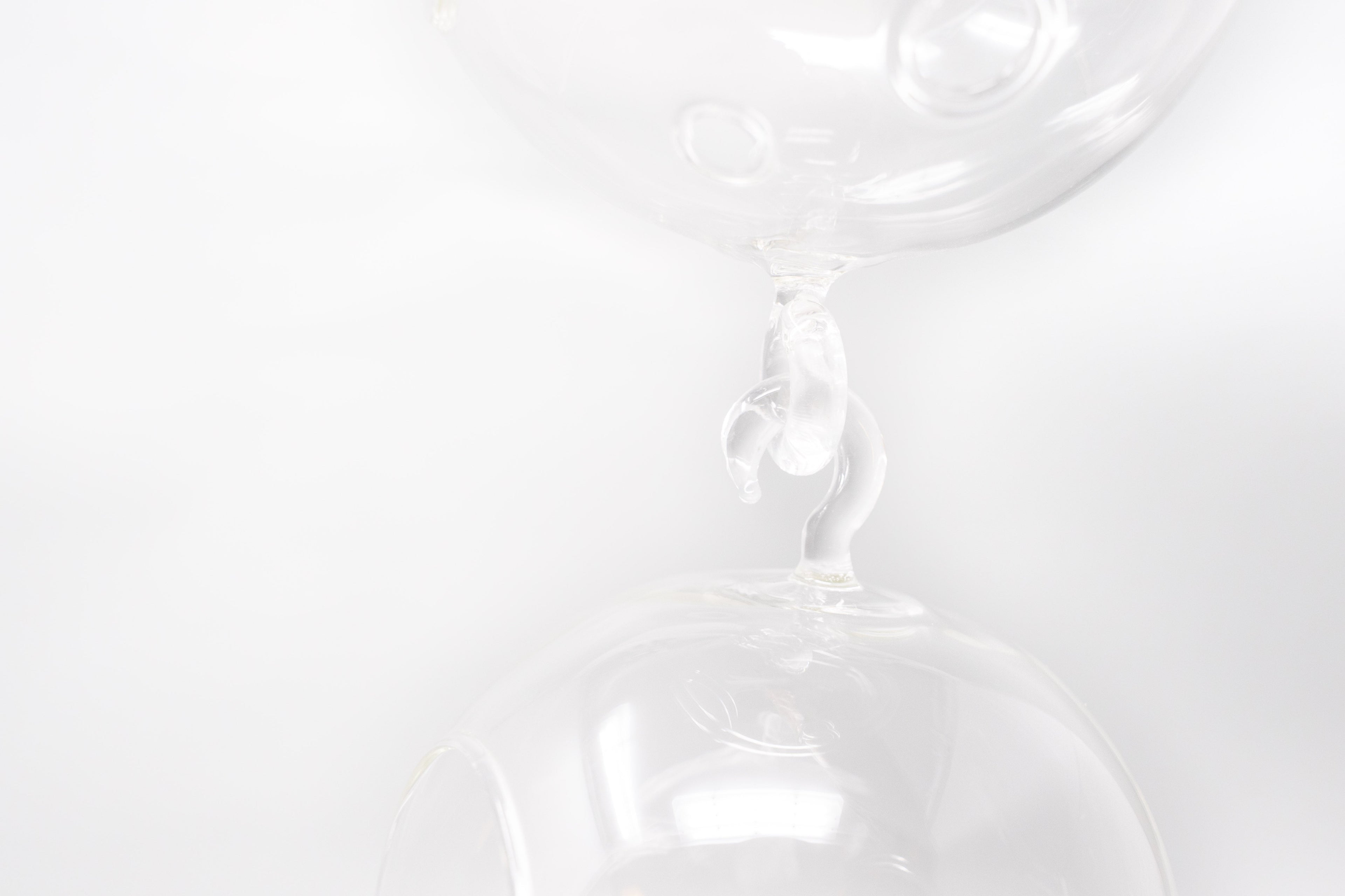 Hanging Globe Terrariums with Double-Hooks