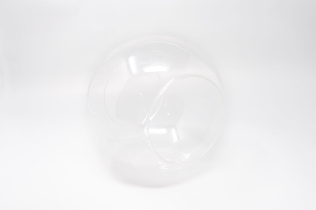Large Hand-Blown Glass Terrarium with 2 Open Ends