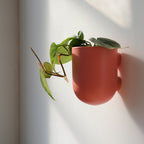 Bender Wall Planter
