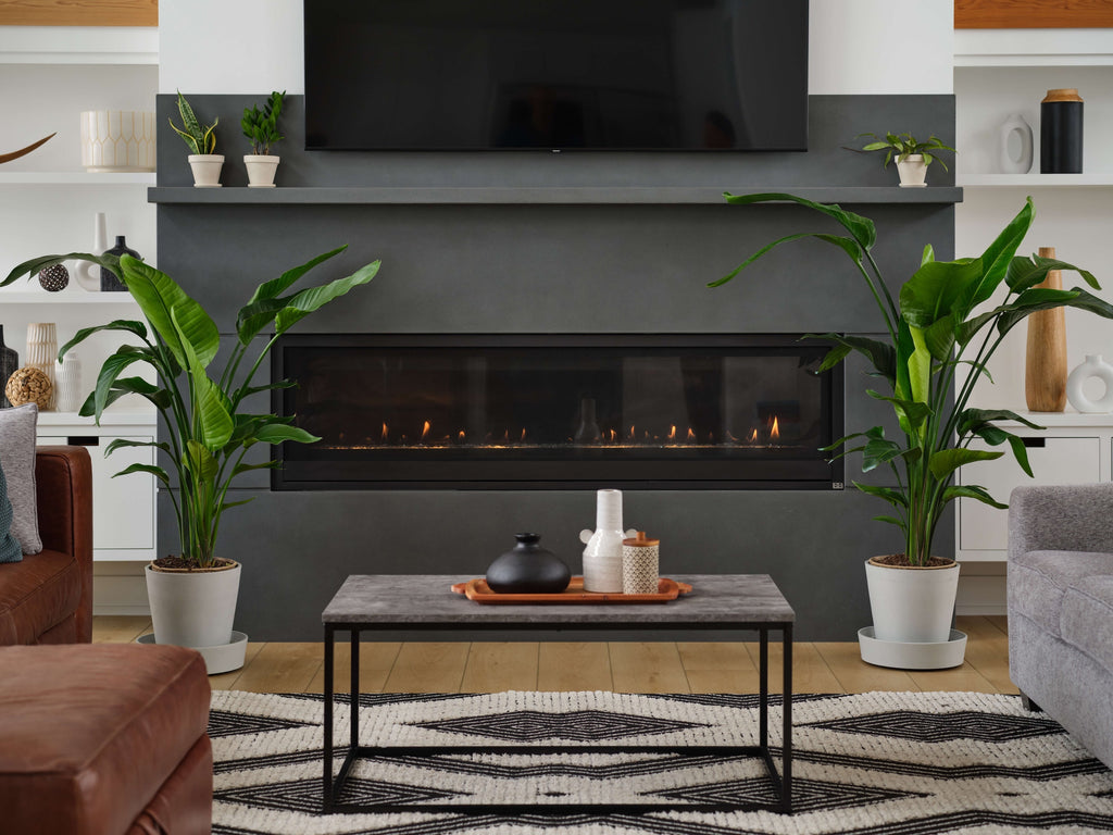 Bird of Paradise XXL