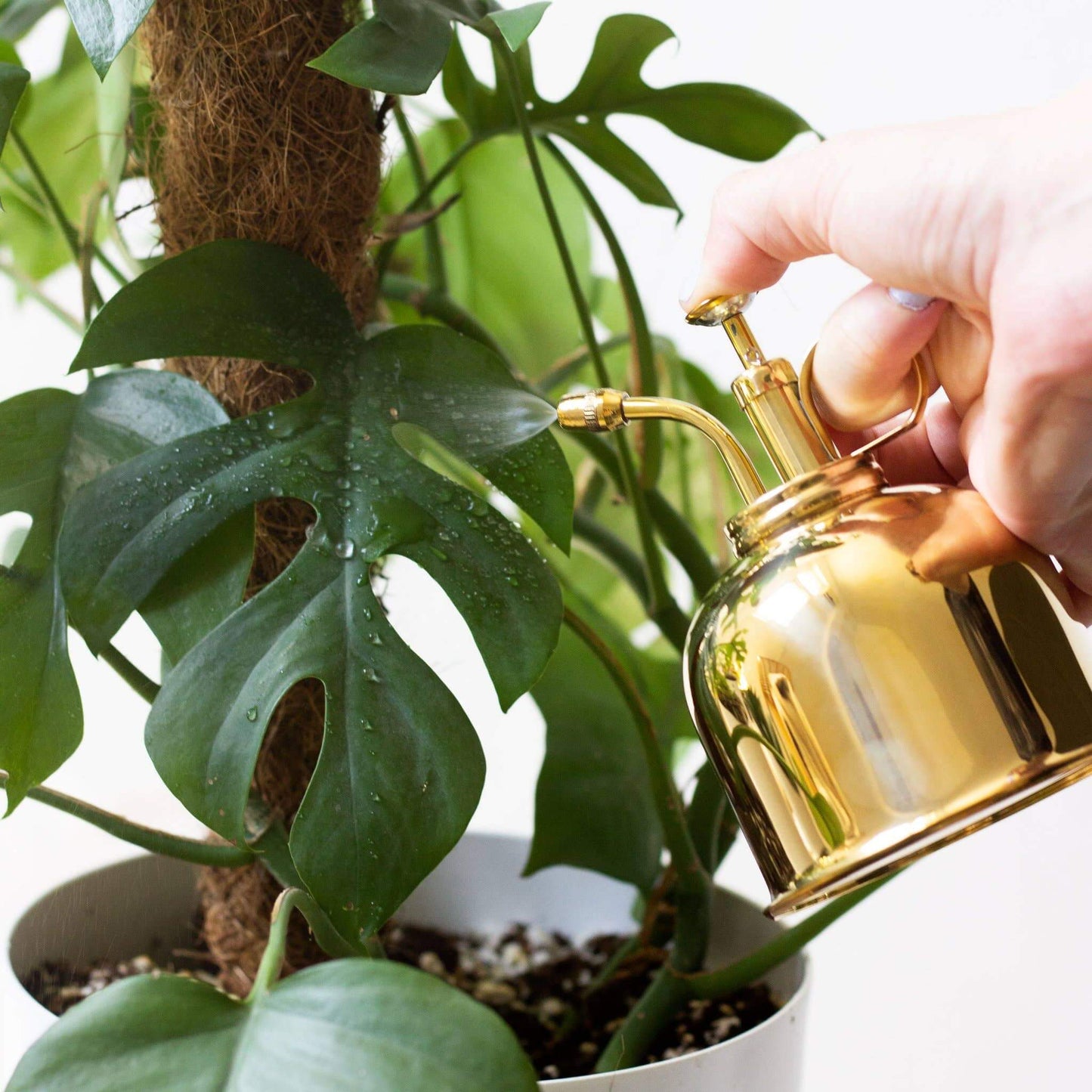 Brass Plant Mister
