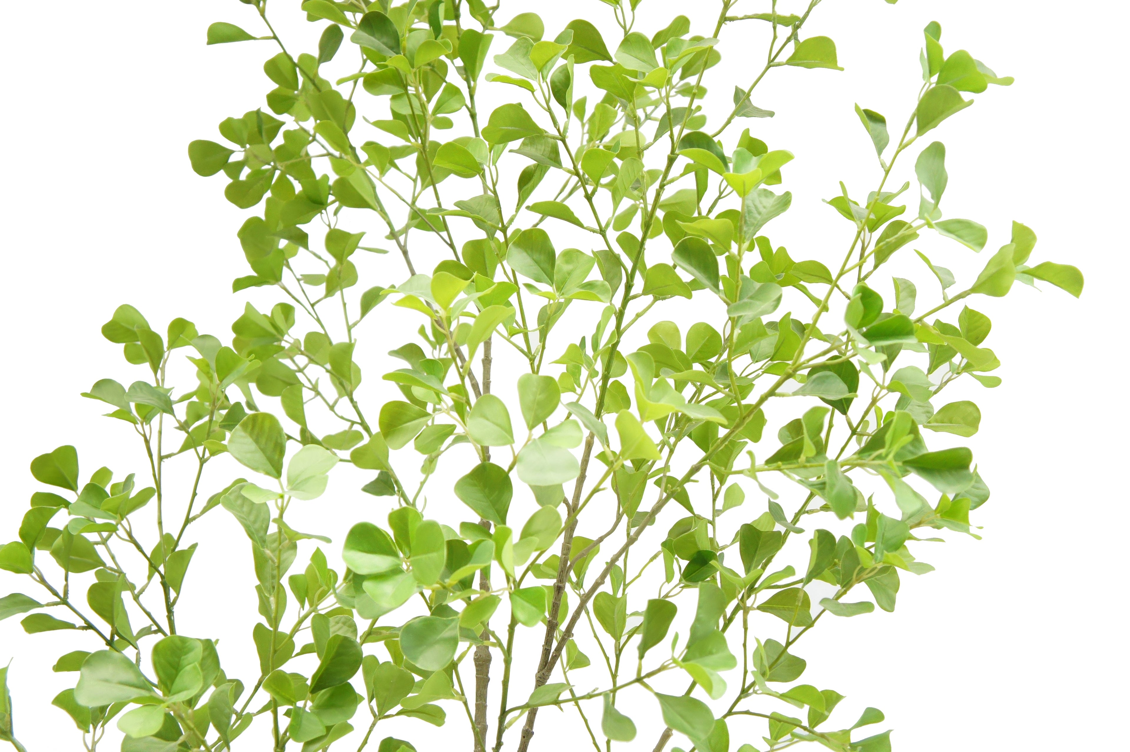 7' Artificial Heart Ficus Tree