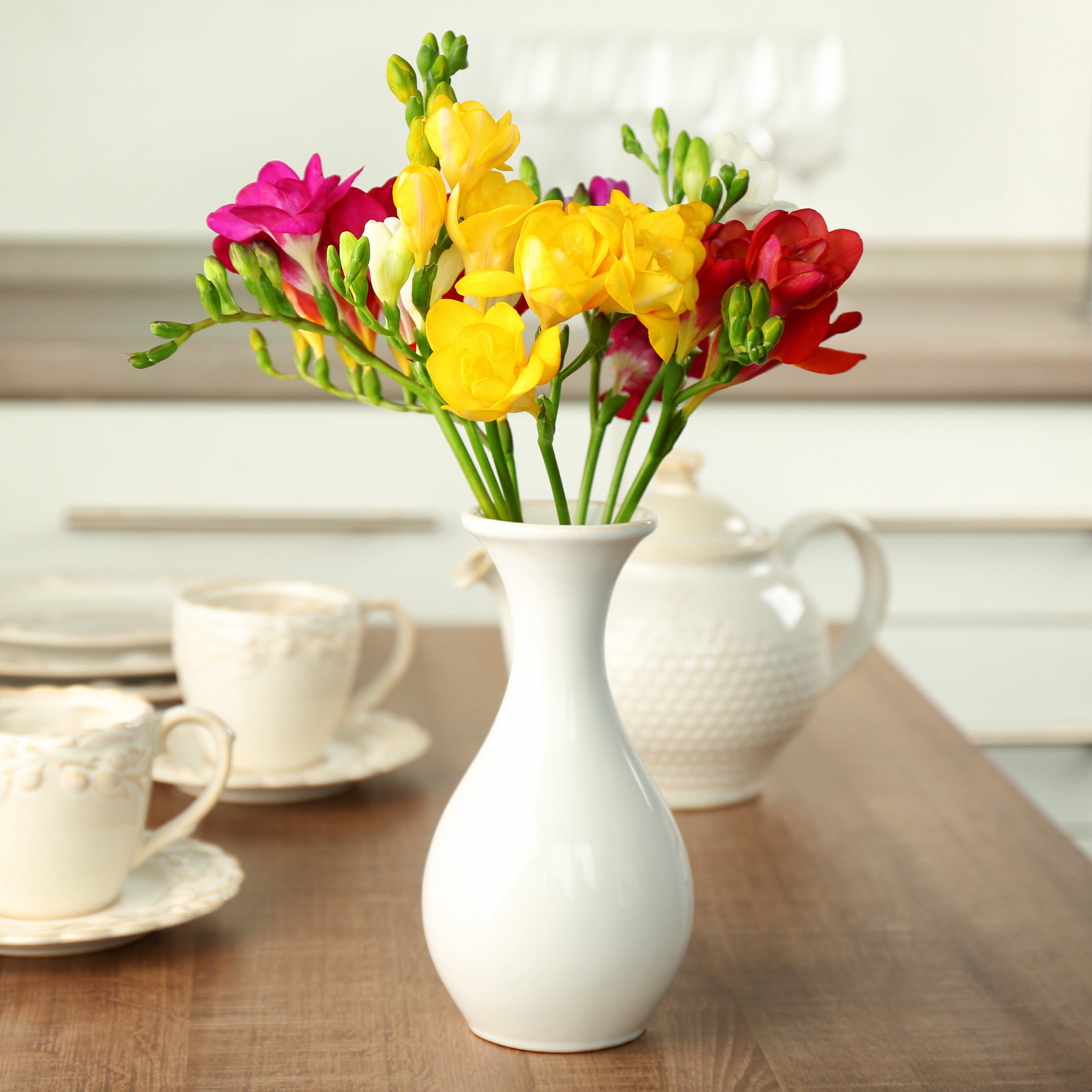 Freesia - Tropical Sunset Collection