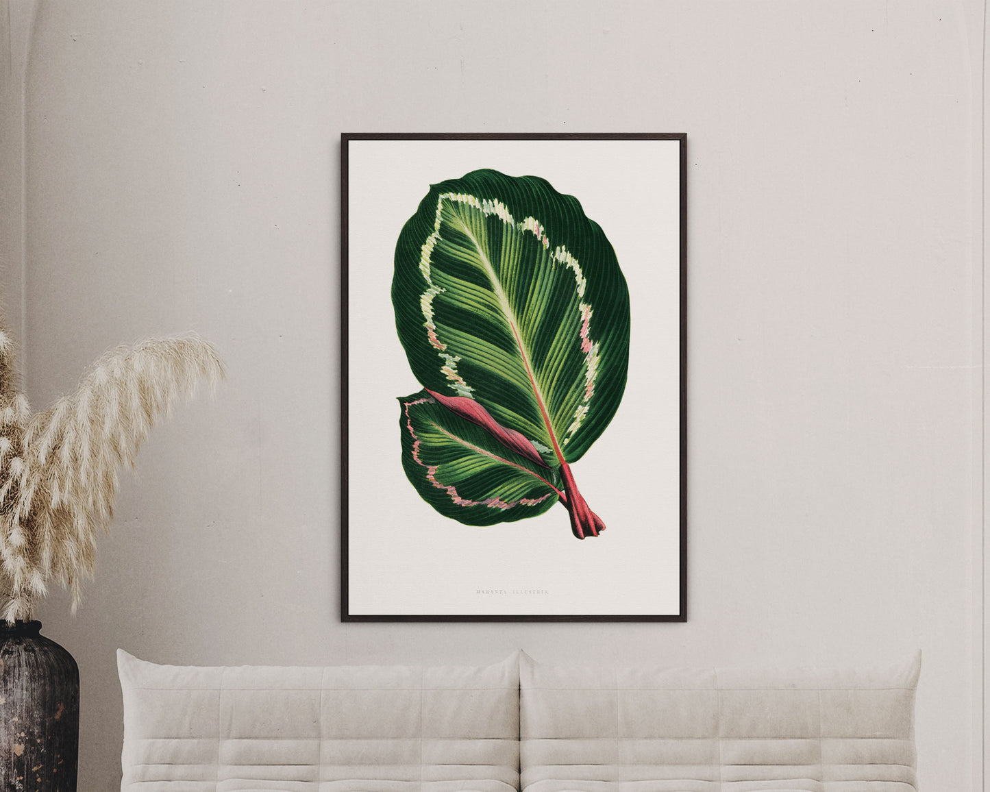 Green Mantara Illustris - Vintage Botanical Framed Canvas Print