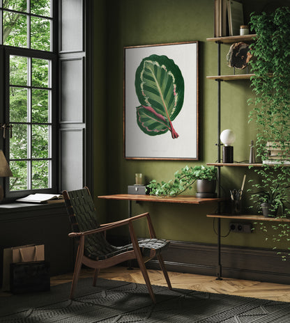 Green Mantara Illustris - Vintage Botanical Framed Canvas Print