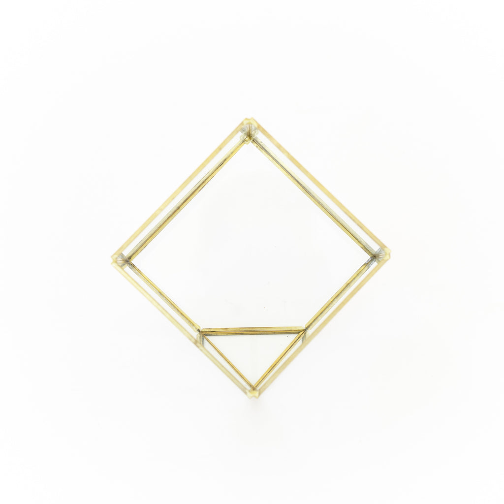 Heptahedron Geometric Glass Terrarium - Gold Metallic Finish - Trendy Holder For Tillandsia Air Plants