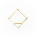 Heptahedron Geometric Glass Terrarium - Gold Metallic Finish - Trendy Holder For Tillandsia Air Plants