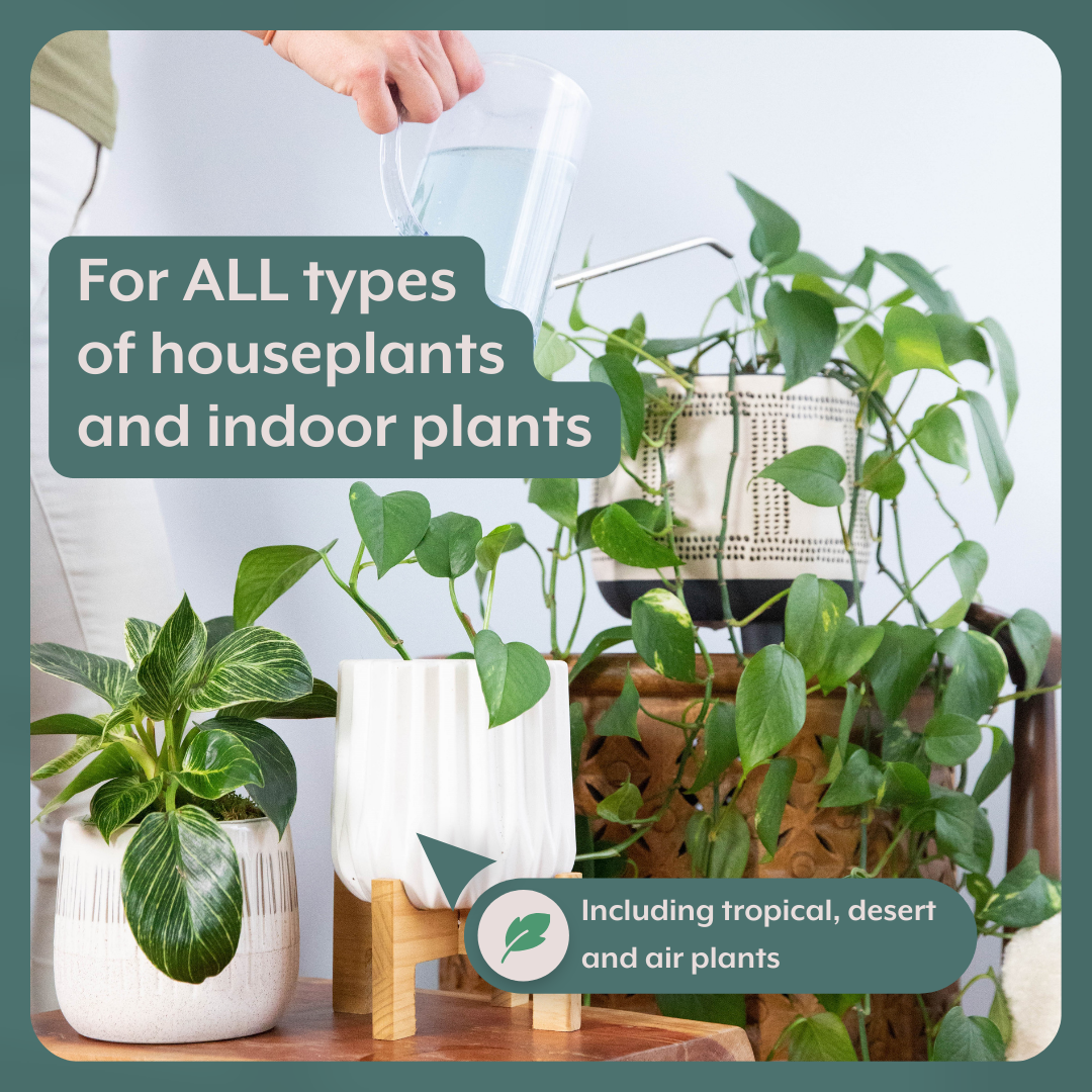 The Revive Bundle (Plant ProBiotics + Natural Pest Control) for HOUSEPLANTS