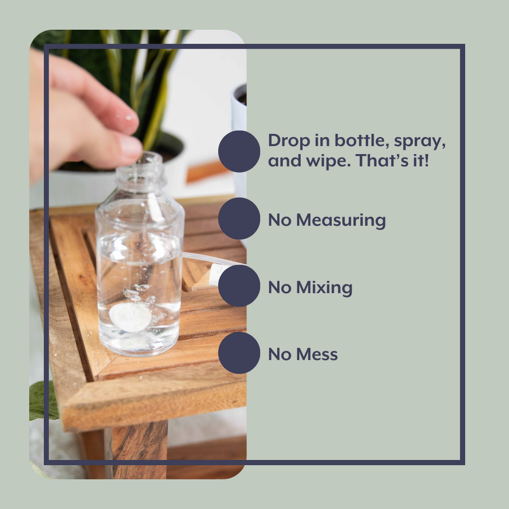 The Houseplant DEFENSE Bundle (Natural Pest Control + Gloves + Spray Bottle)