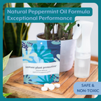 The Houseplant DEFENSE Bundle (Natural Pest Control + Gloves + Spray Bottle)