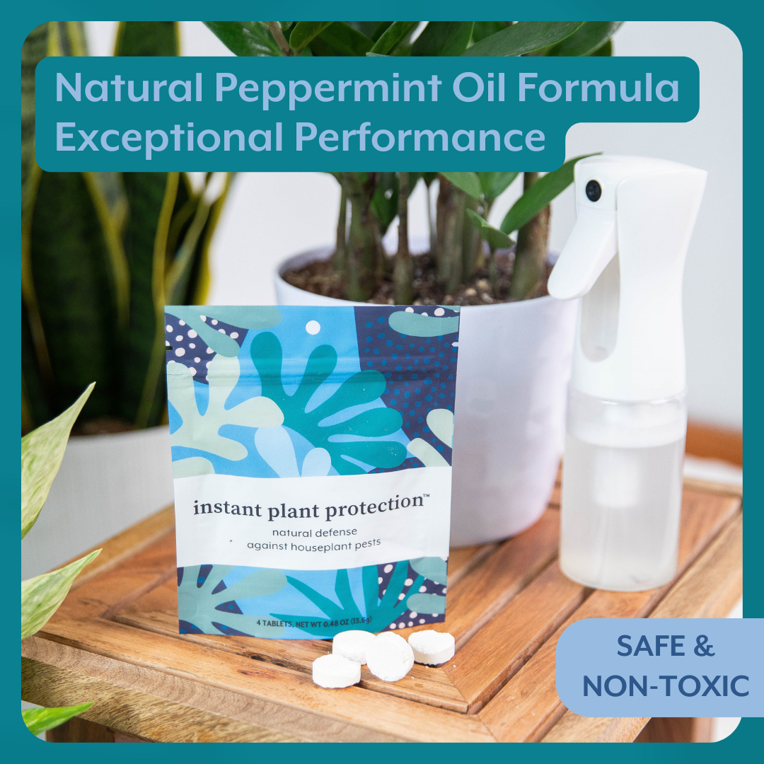 The Houseplant DEFENSE Bundle (Natural Pest Control + Gloves + Spray Bottle)