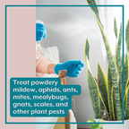 The Revive Bundle (Plant ProBiotics + Natural Pest Control) for HOUSEPLANTS