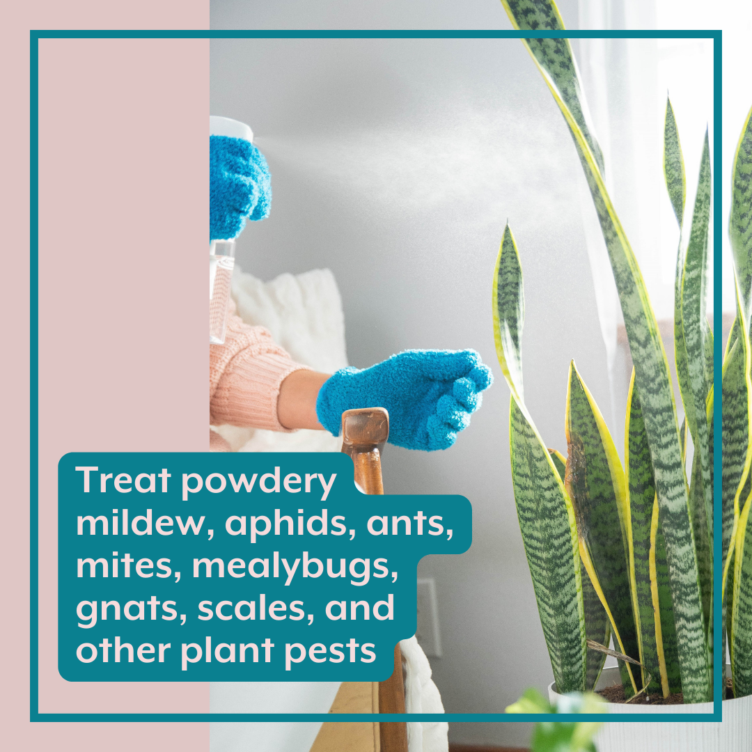 The Revive Bundle (Plant ProBiotics + Natural Pest Control) for HOUSEPLANTS