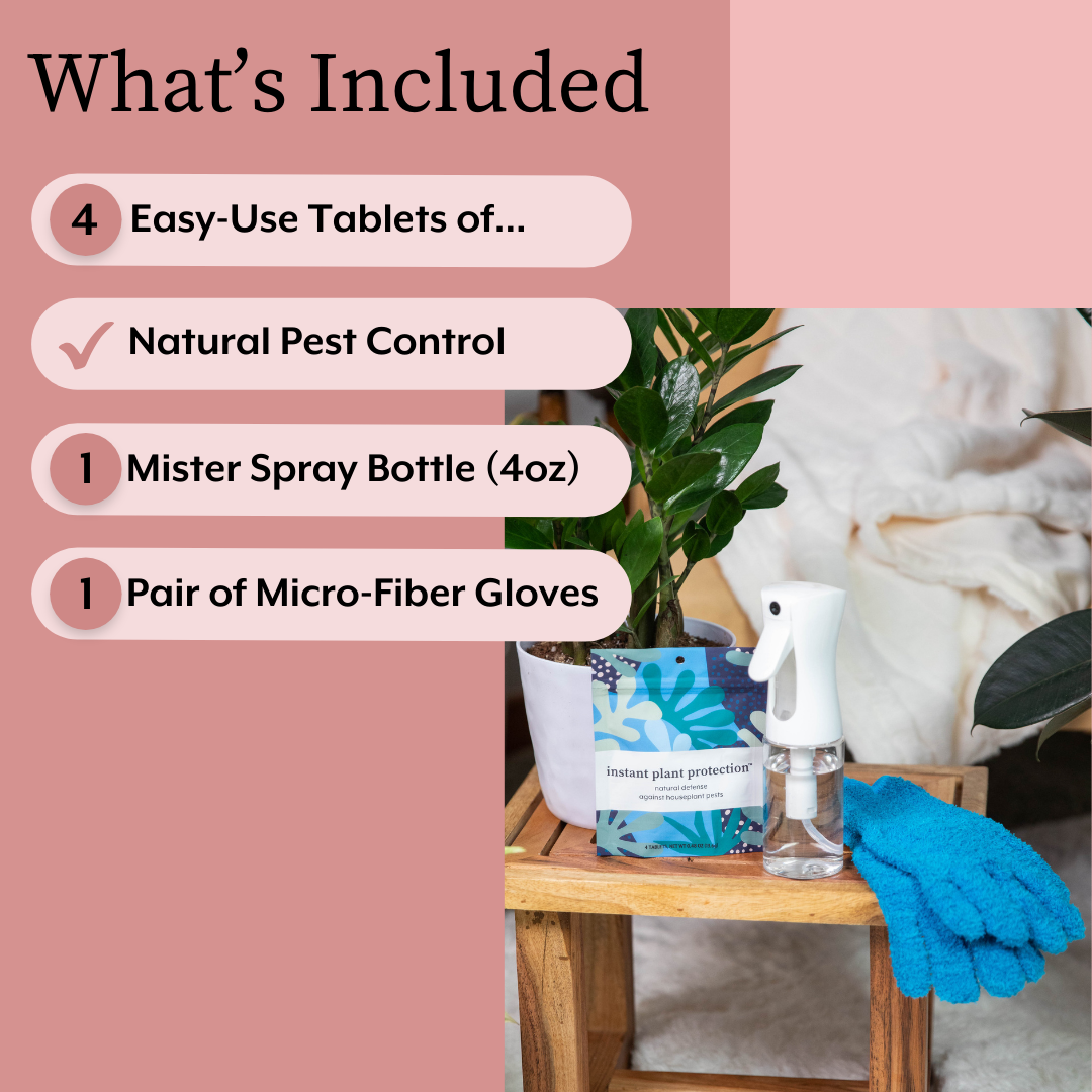 The Houseplant DEFENSE Bundle (Natural Pest Control + Gloves + Spray Bottle)