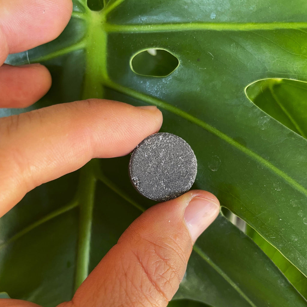 (2) Instant Plant Support 4-Tablet Pouch Bundle