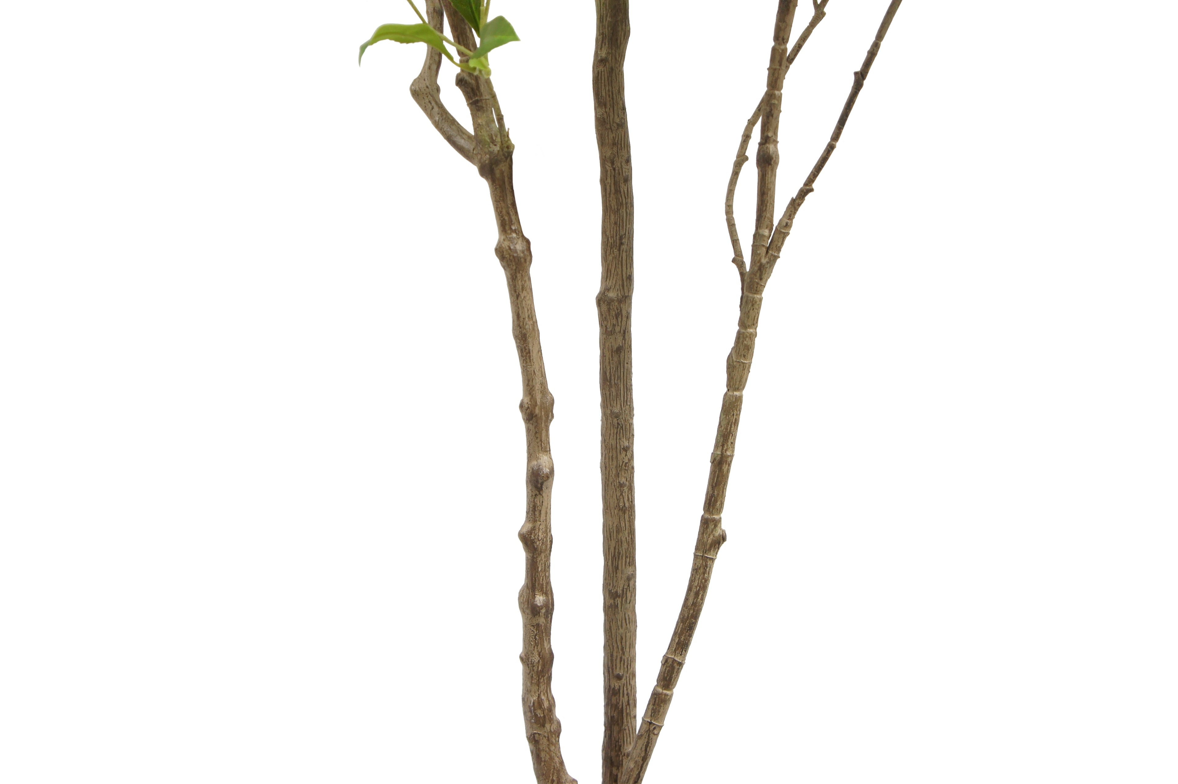 7' Artificial Laurel Tree