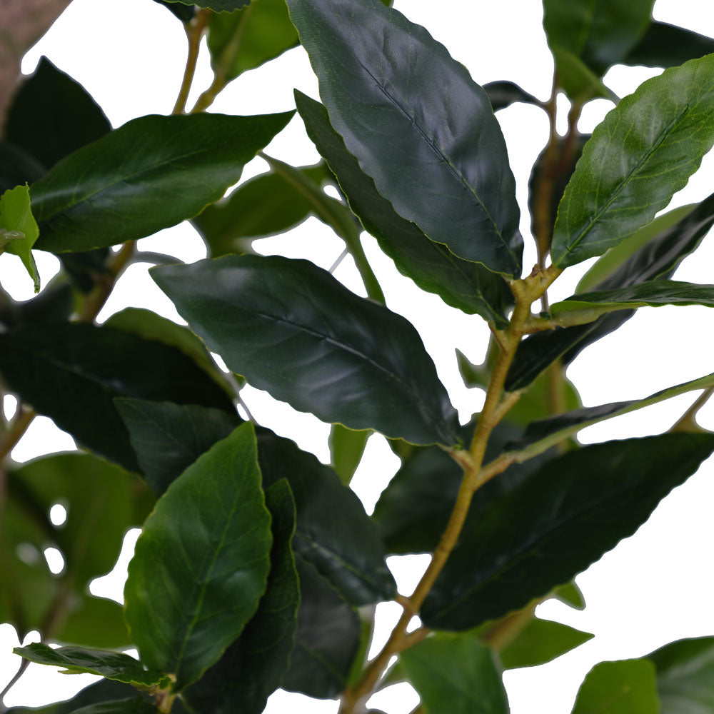 7' Faux Potted Laurel Tree