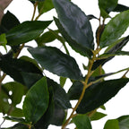 7' Faux Potted Laurel Tree