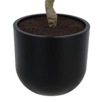 7' Faux Potted Laurel Tree