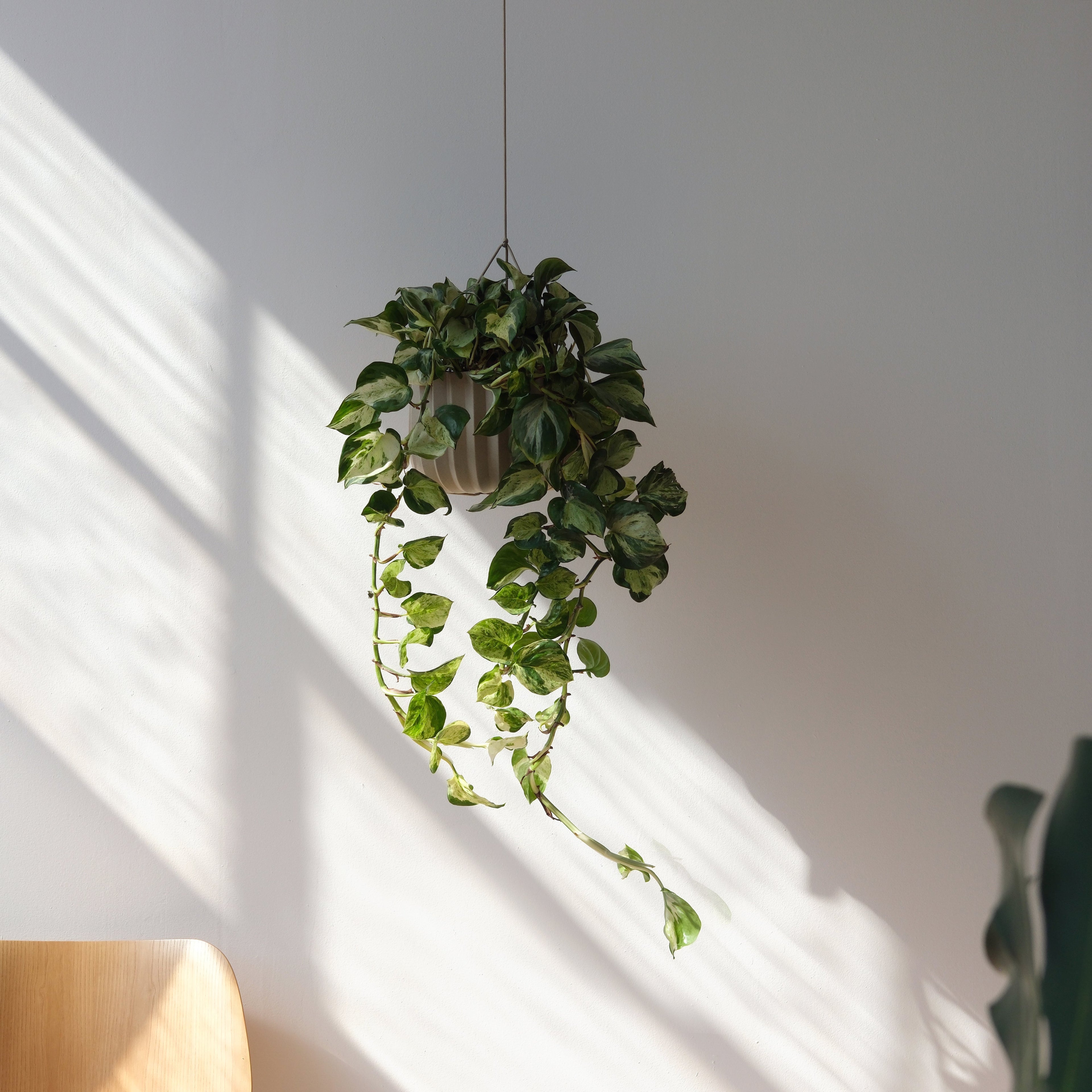 Wrap Planter