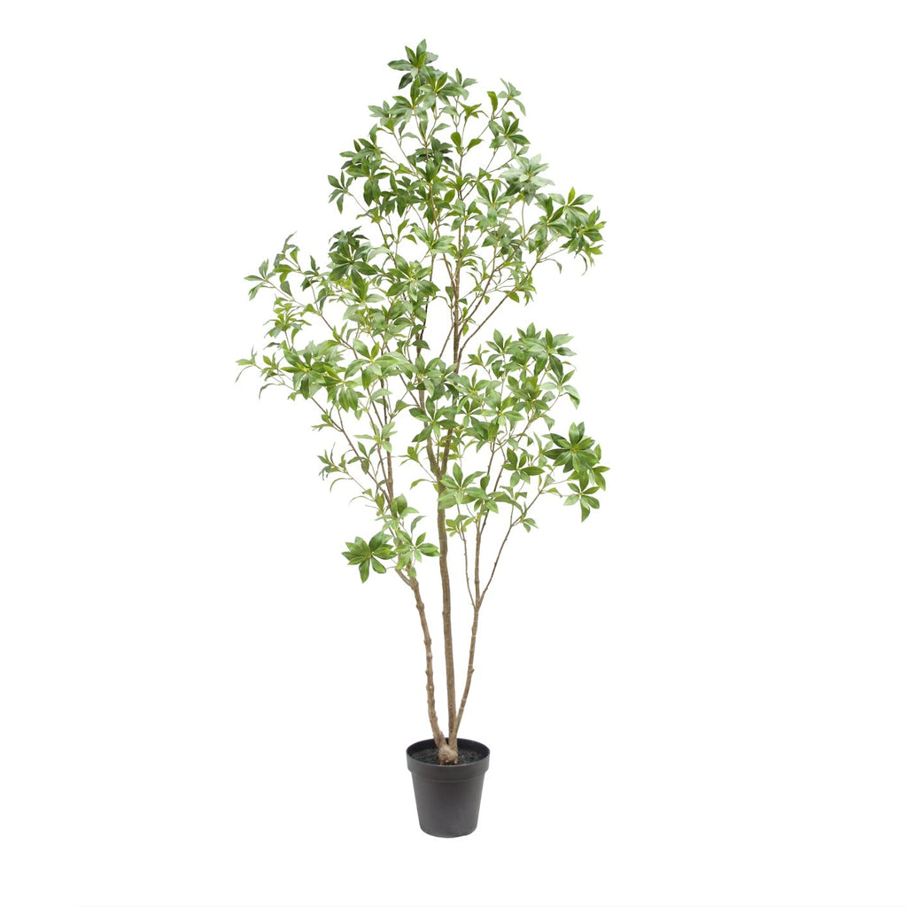 7' Artificial Laurel Tree