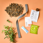Passive Hydroponic Replant Kit