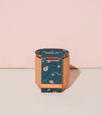 Tiny Terracotta Kits