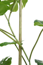 5' Artificial Monstera Tree