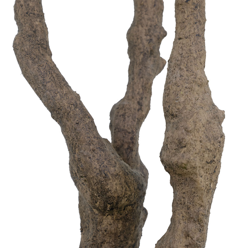 7.5' Faux Potted Olive Tree