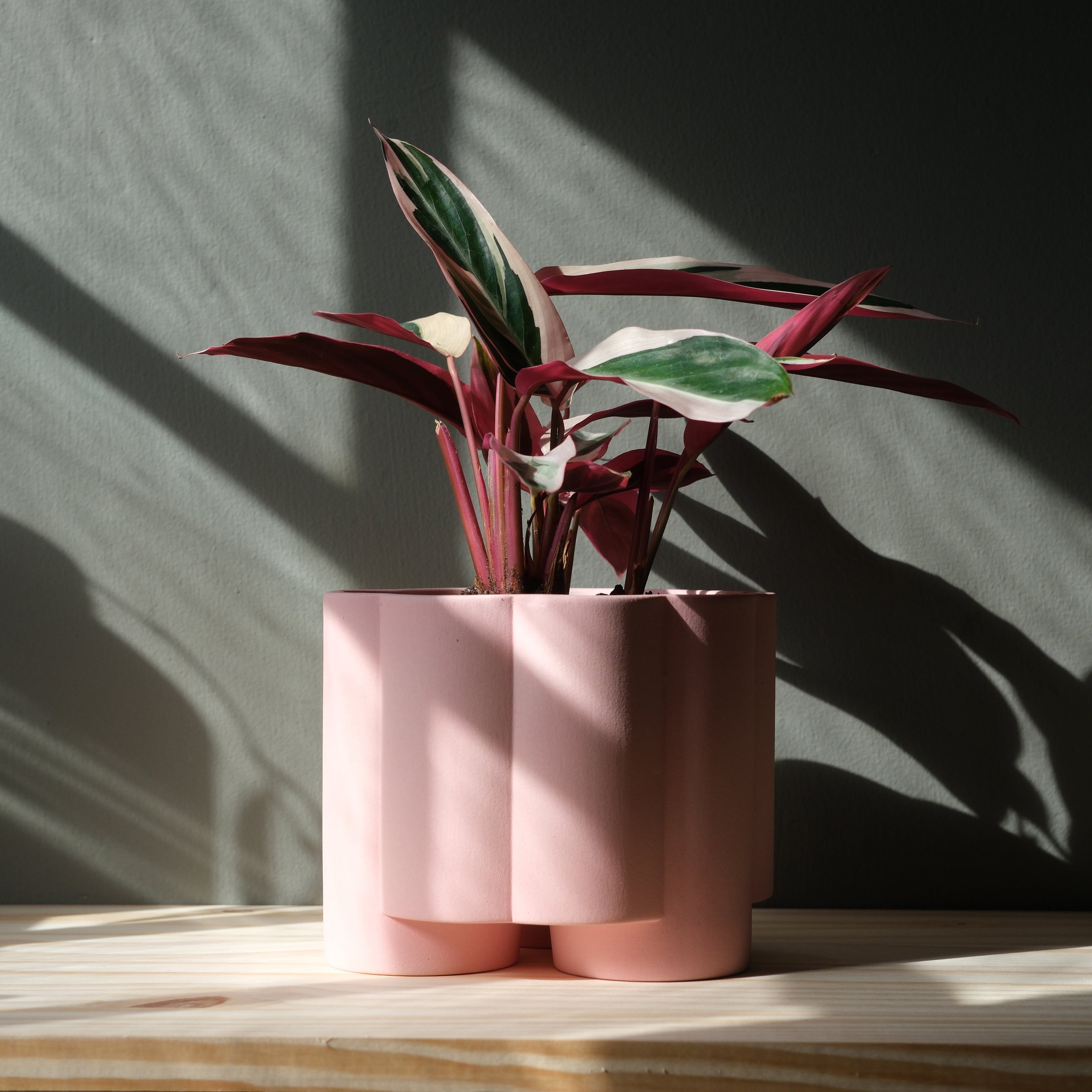 Pillar Planter
