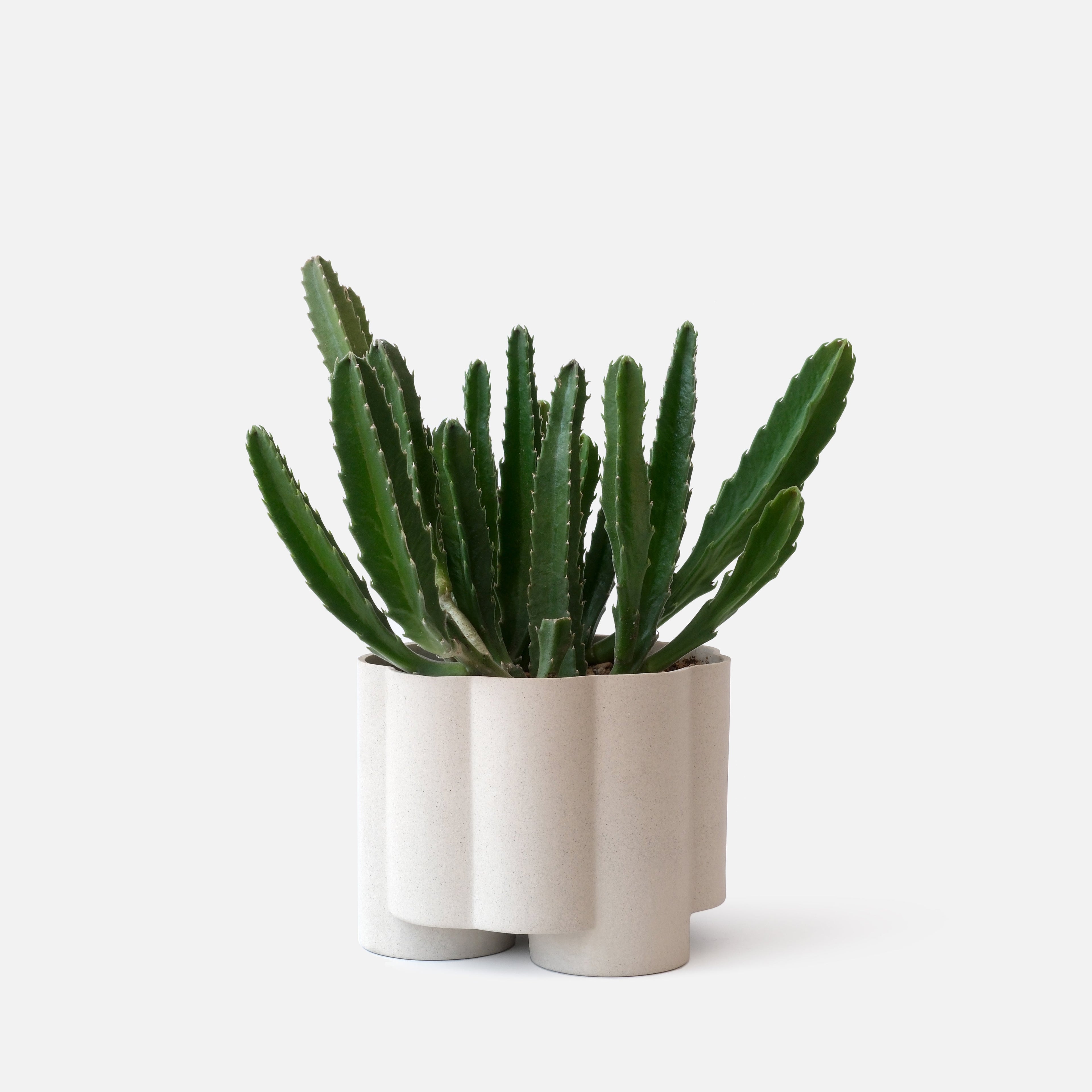 Pillar Planter